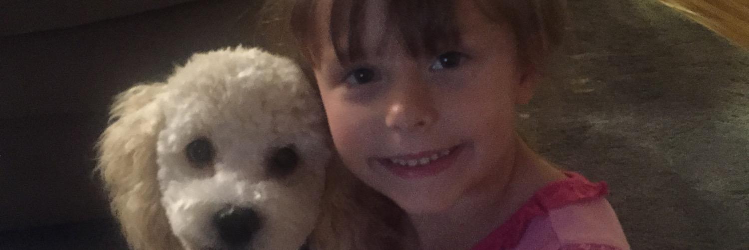 StephSandberg18's profile banner image