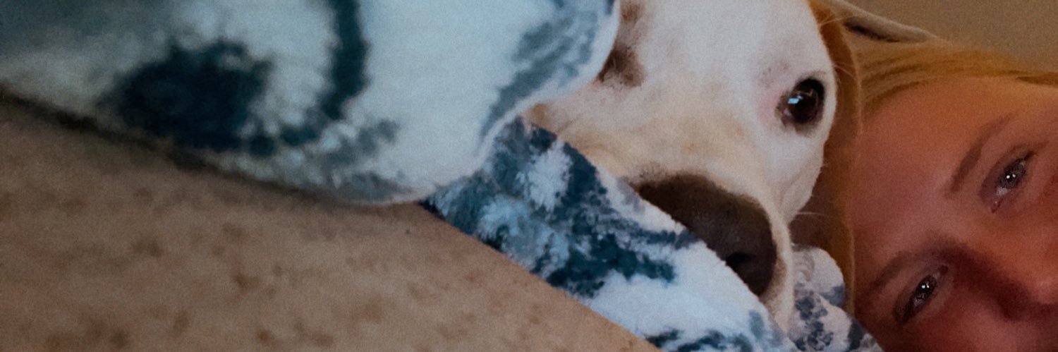 nchestnut_'s profile banner image