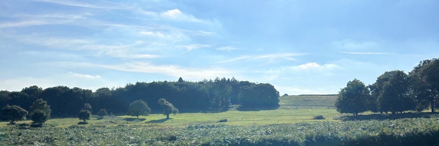 hollie44's profile banner image