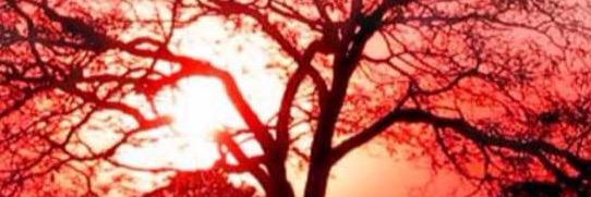 ximsi_92's profile banner image
