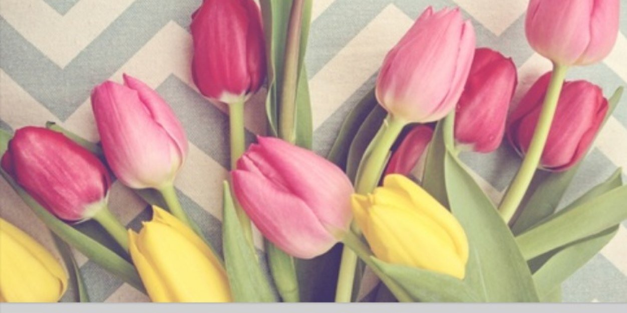 apbrantley's profile banner image