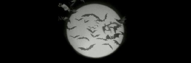 chernobratz's profile banner image