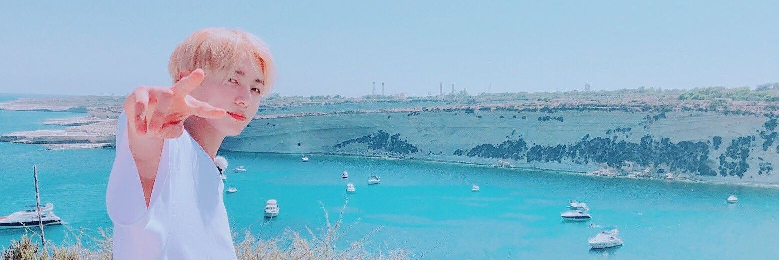 Strayarmy's profile banner image