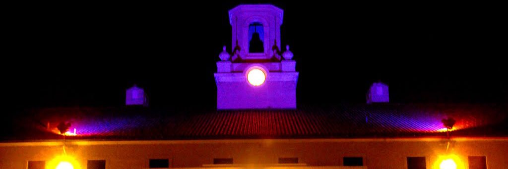 Angela M. Cardwell banner