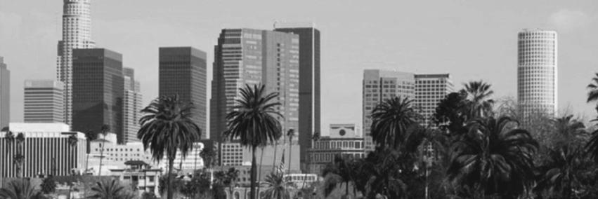 CappaRegime's profile banner image