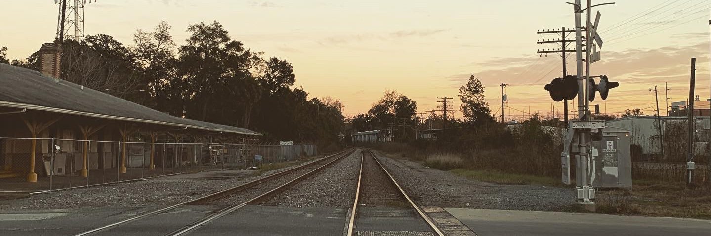 zoot_bitch's profile banner image
