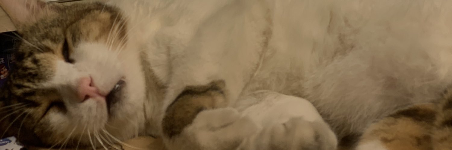 cerriyy's profile banner image