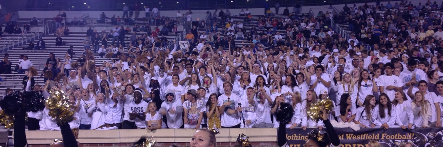 Terri K Towle banner