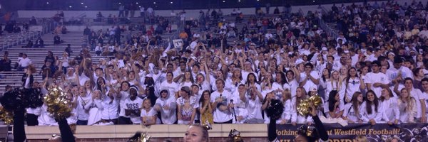 DSATowle Profile Banner