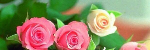 0f69cd53699c470's profile banner image