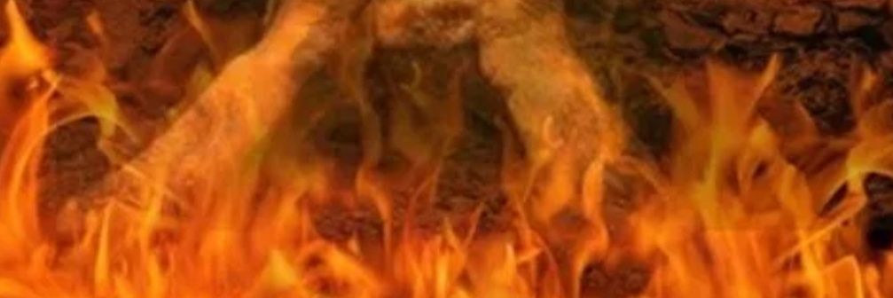 yourdemon1's profile banner image