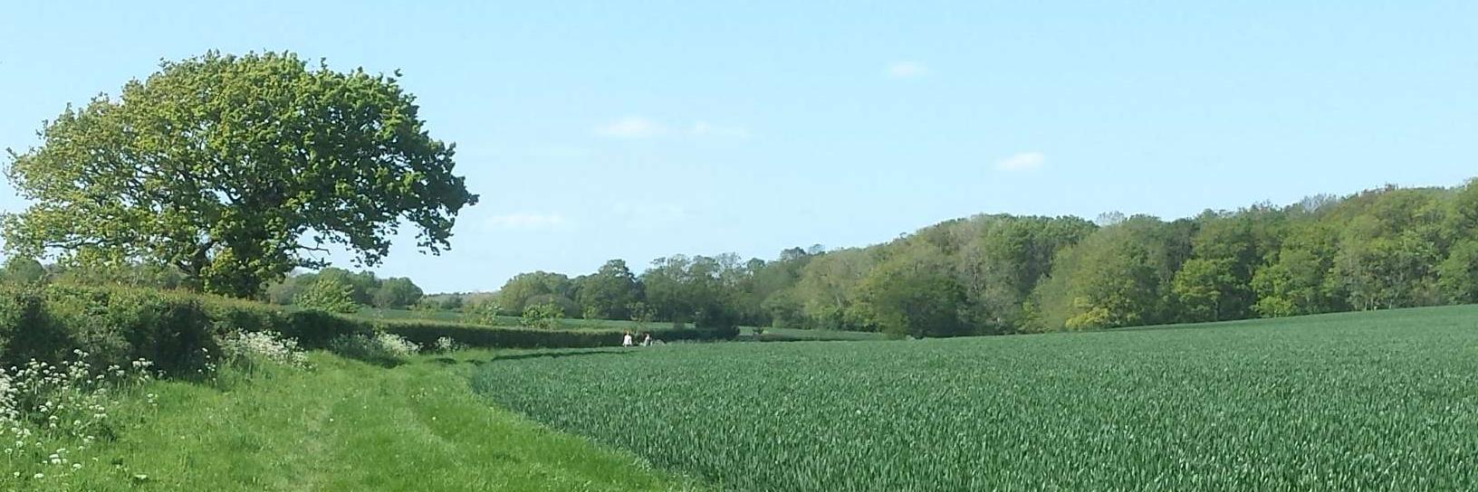 ArundelBypass's profile banner image