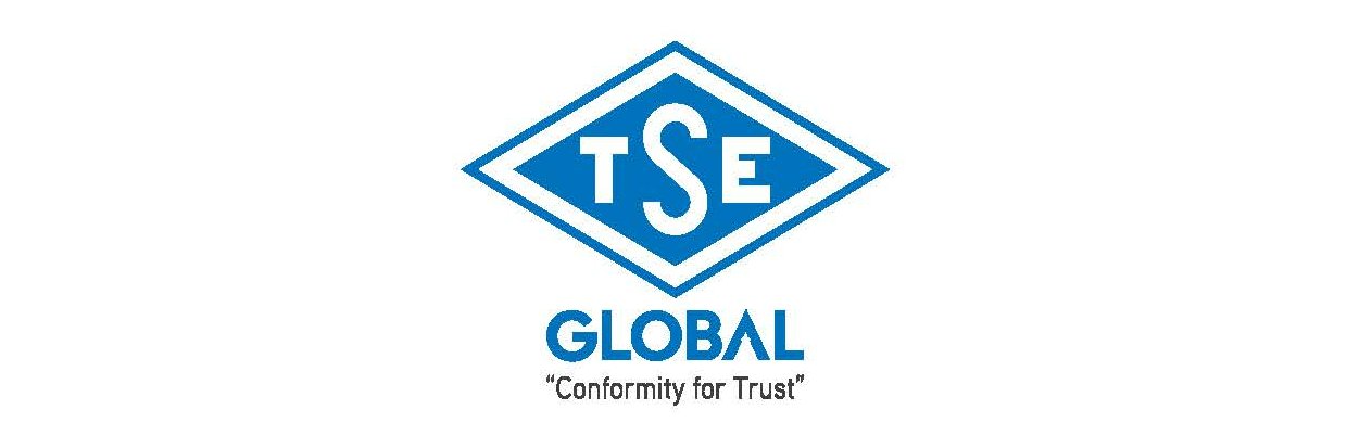 TSE GLOBAL banner