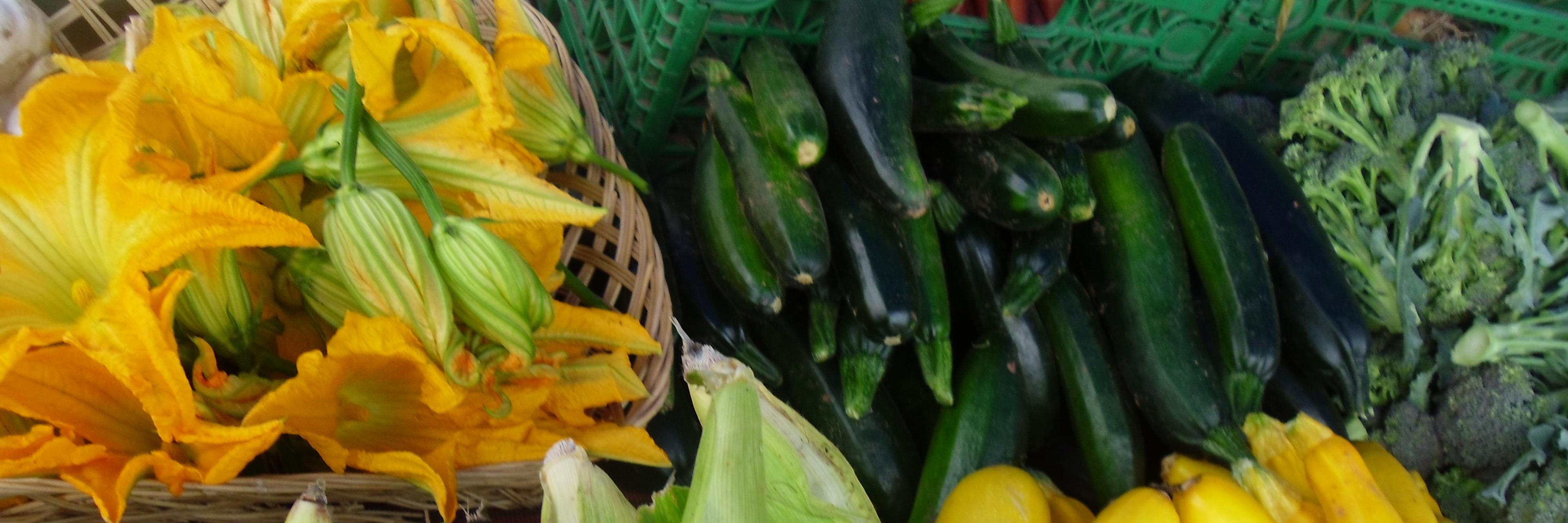 PaulsVeg's profile banner image