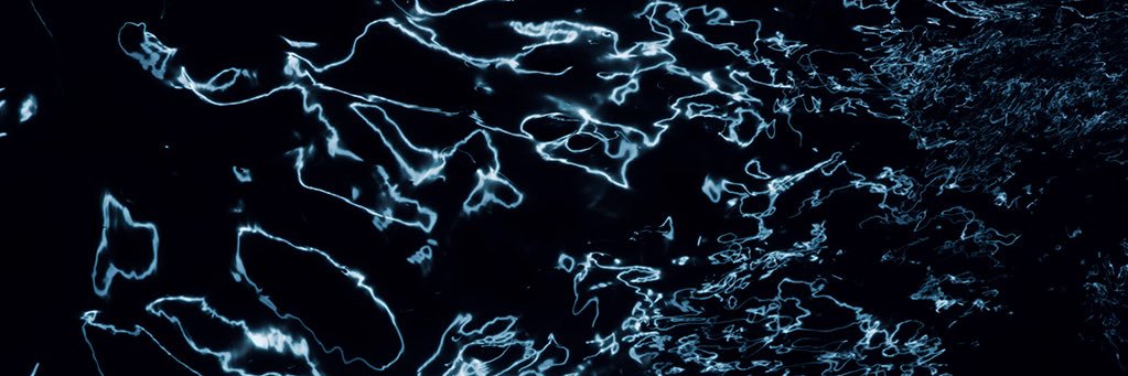 sandrabartocha's profile banner image