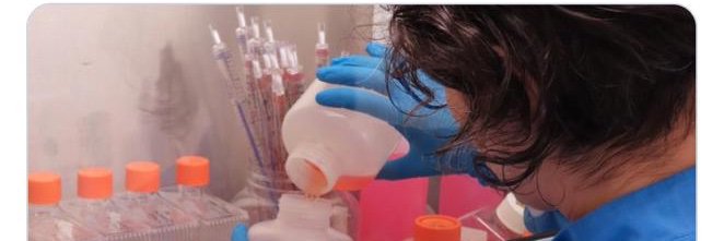 Cathy Oliveira banner