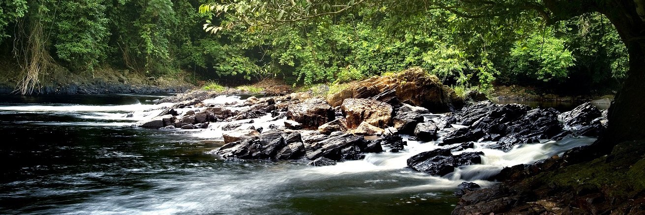 Governor Ben Ayade banner