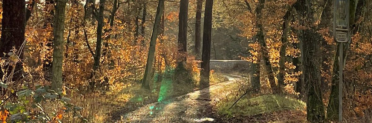 Tripl_Z3's profile banner image