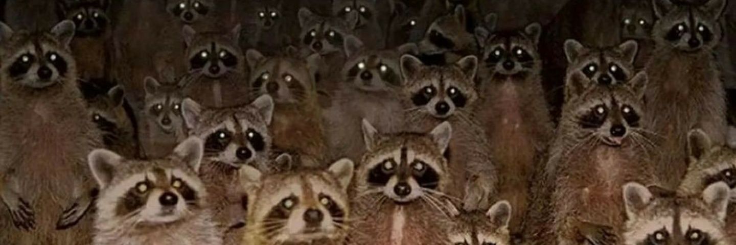 ShannonMorgan0's profile banner image