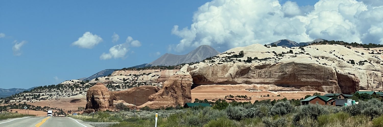 Sarah Merrifield banner