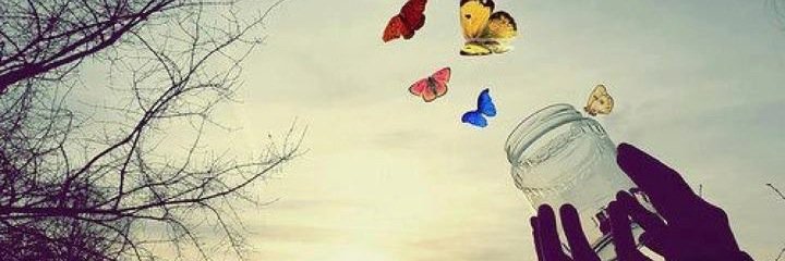 MaylaAurora's profile banner image