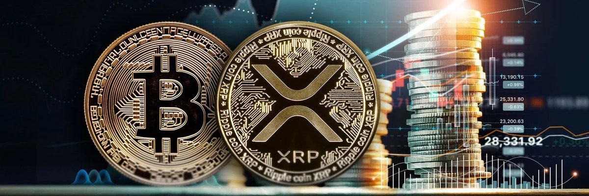 Matthew G Perry banner