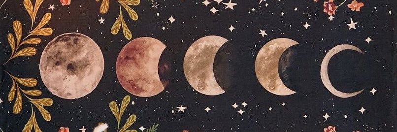 Fox_gossip7's profile banner image