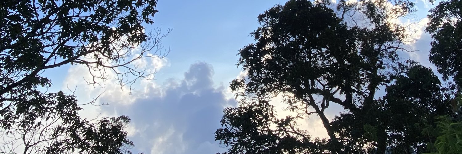 riatiutami's profile banner image