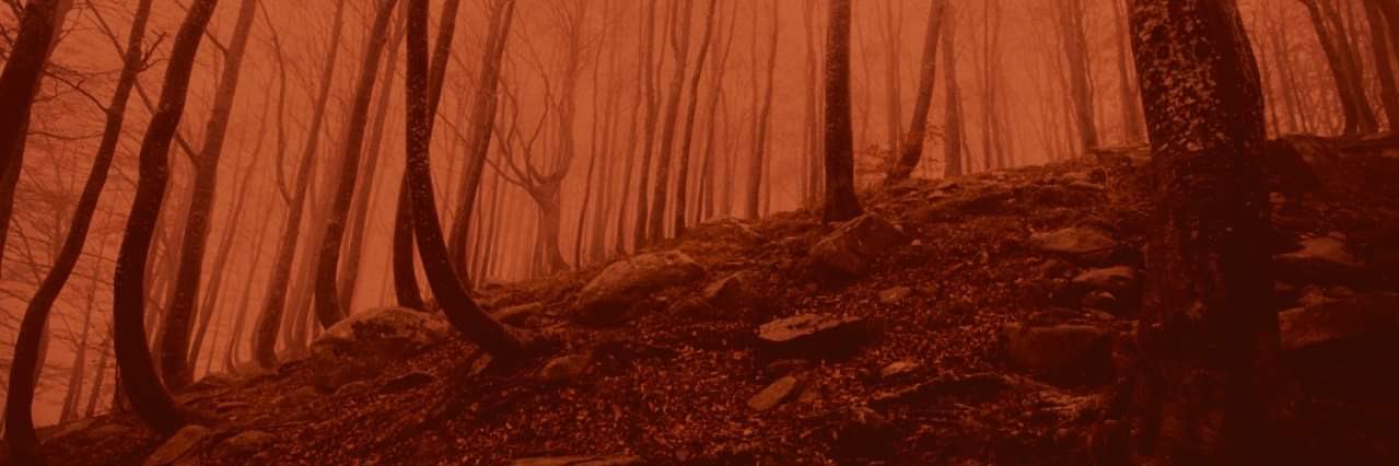Taczusia's profile banner image