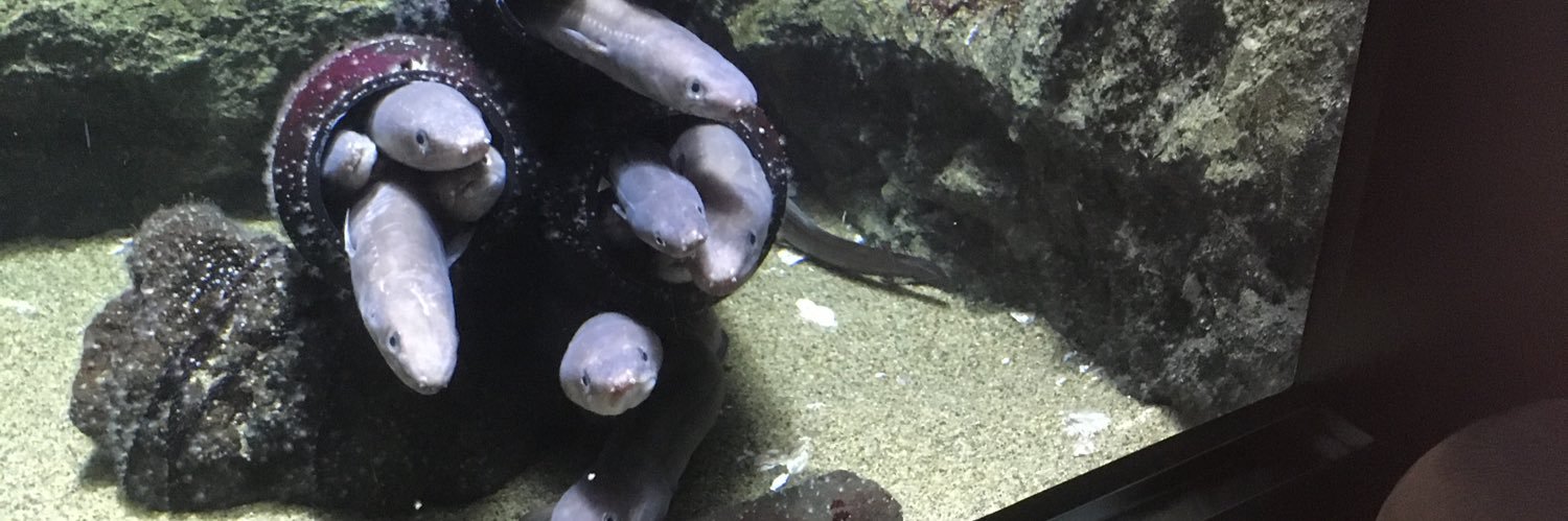 ともザベス banner