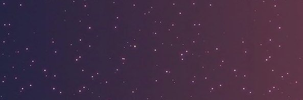 shellyels's profile banner image