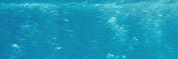 SwimHopewell's profile banner image