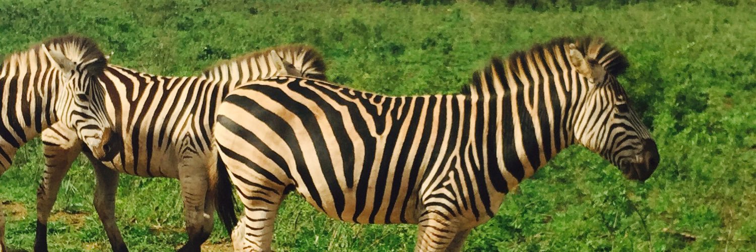 Javier Villasenor, Ed.D banner