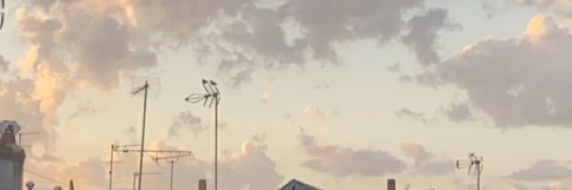 laoouenn's profile banner image