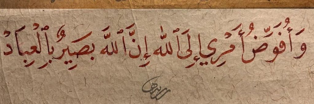 Shahd Alajaji banner