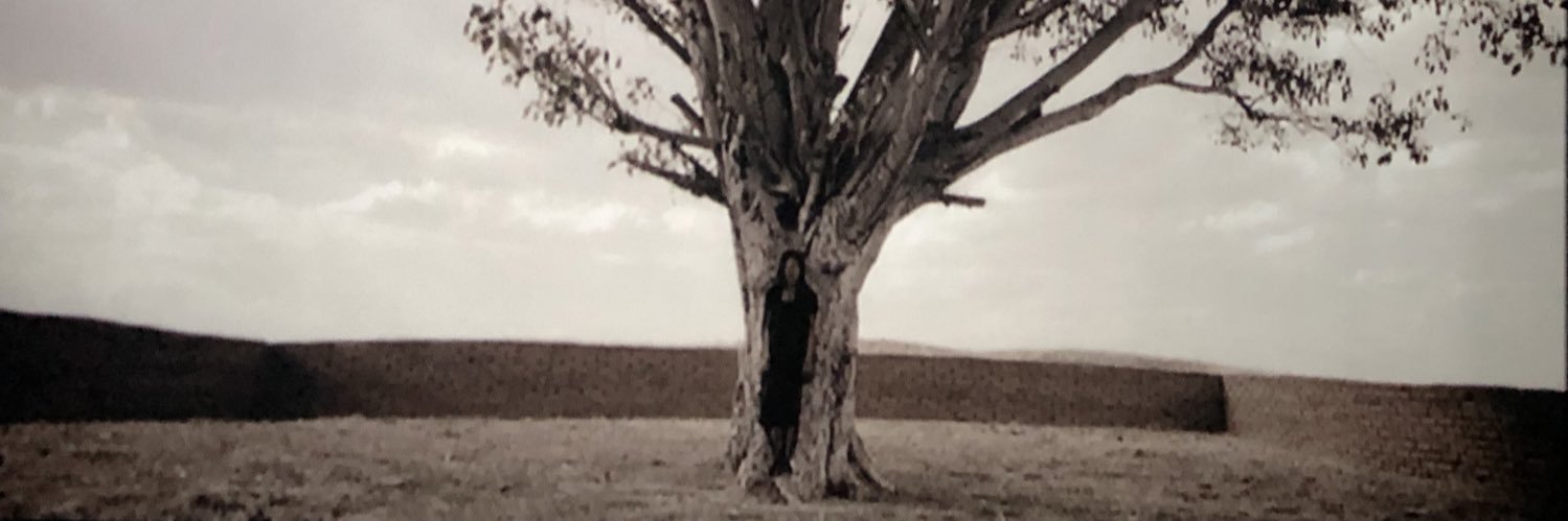 Simone Kessell banner