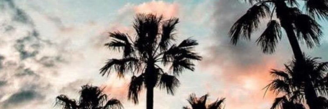 DiegoCea4's profile banner image