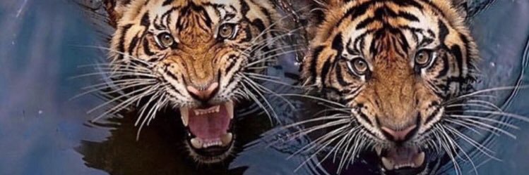 CJ2K444's profile banner image
