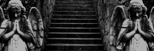 pilgrimofgrace's profile banner image