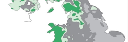 CExtraction's profile banner image