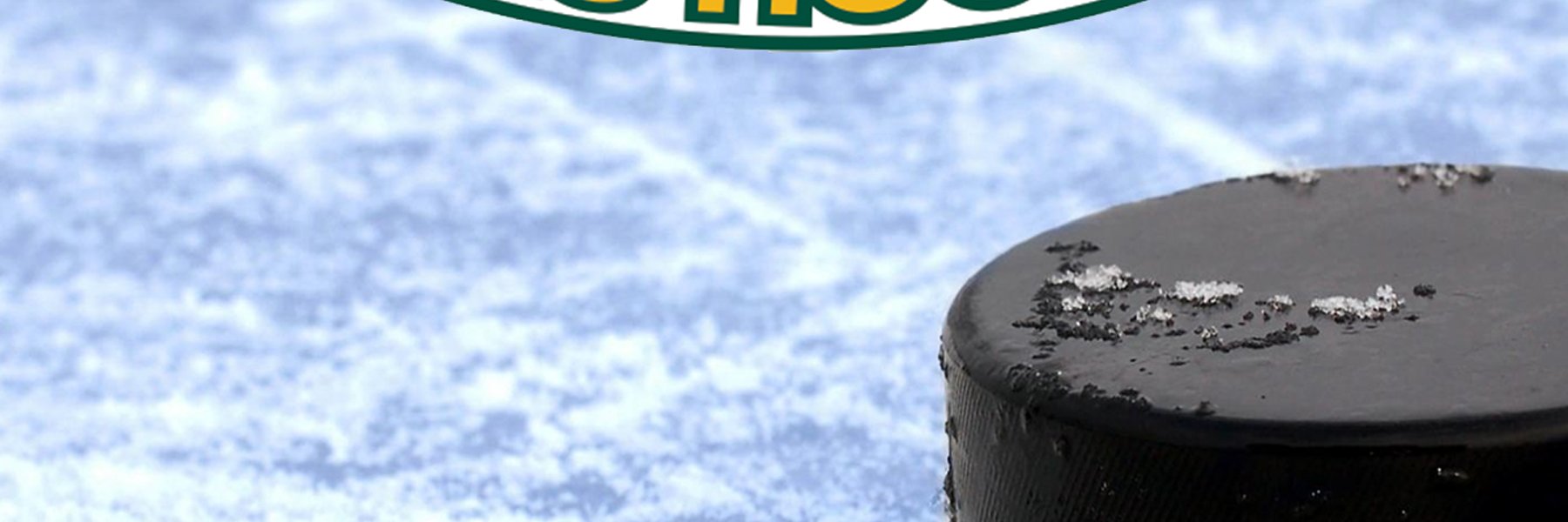 EGHA_Eagles's profile banner image