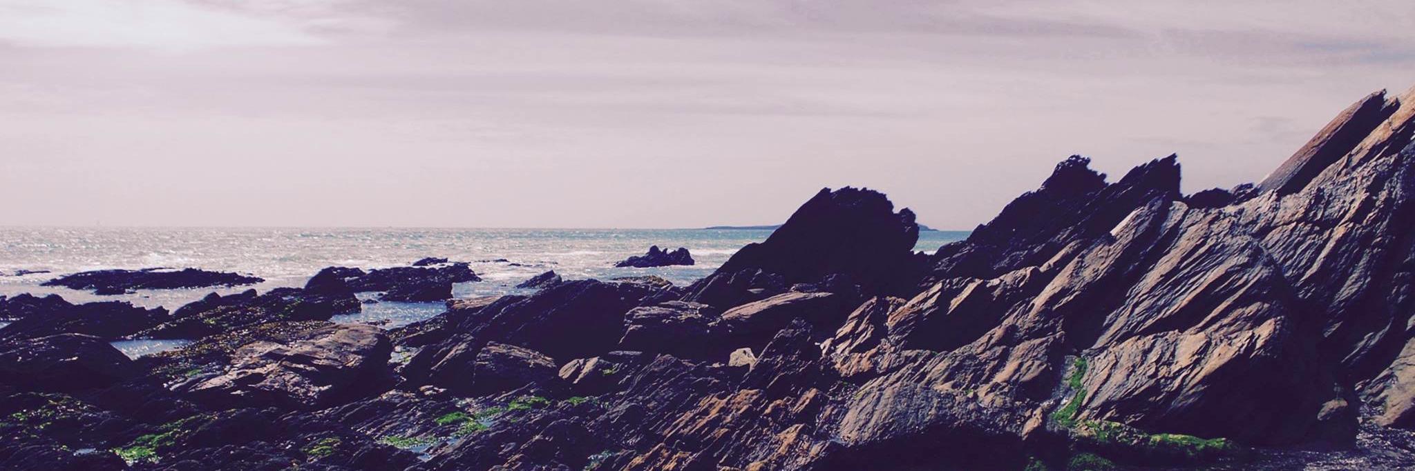 nima_navab's profile banner image