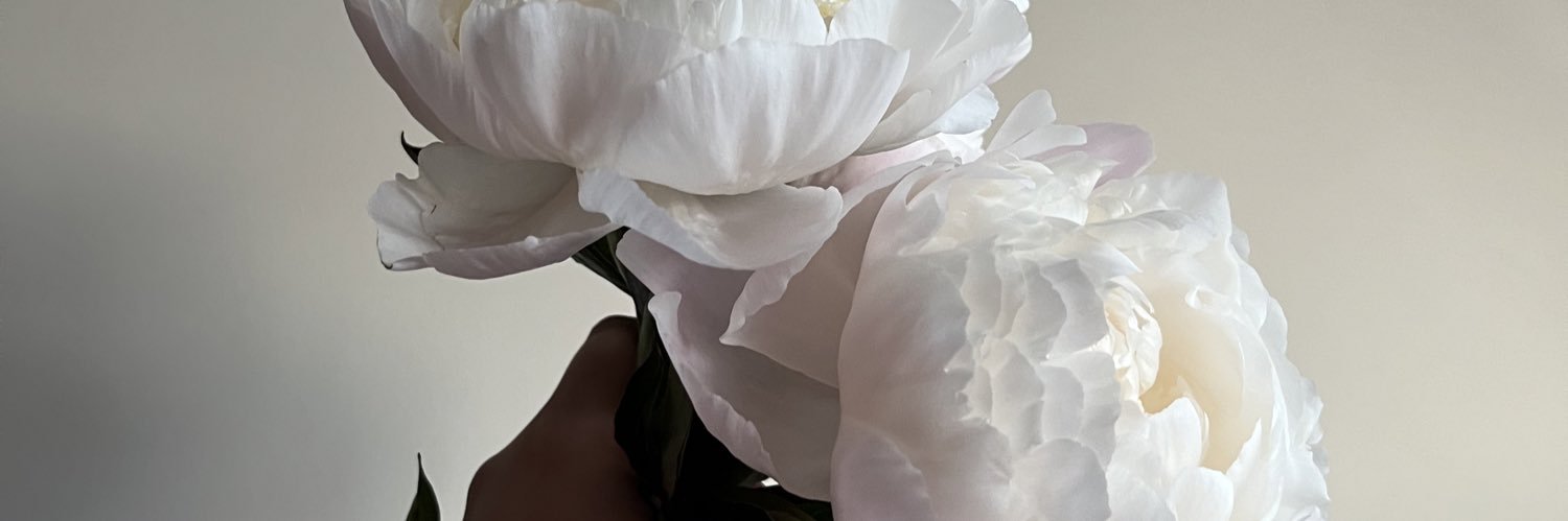 Ellieblitz's profile banner image