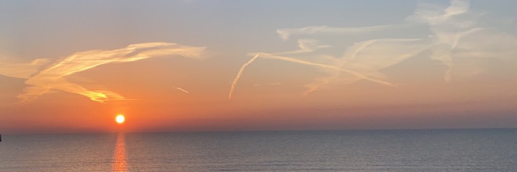 _sydneystorer's profile banner image