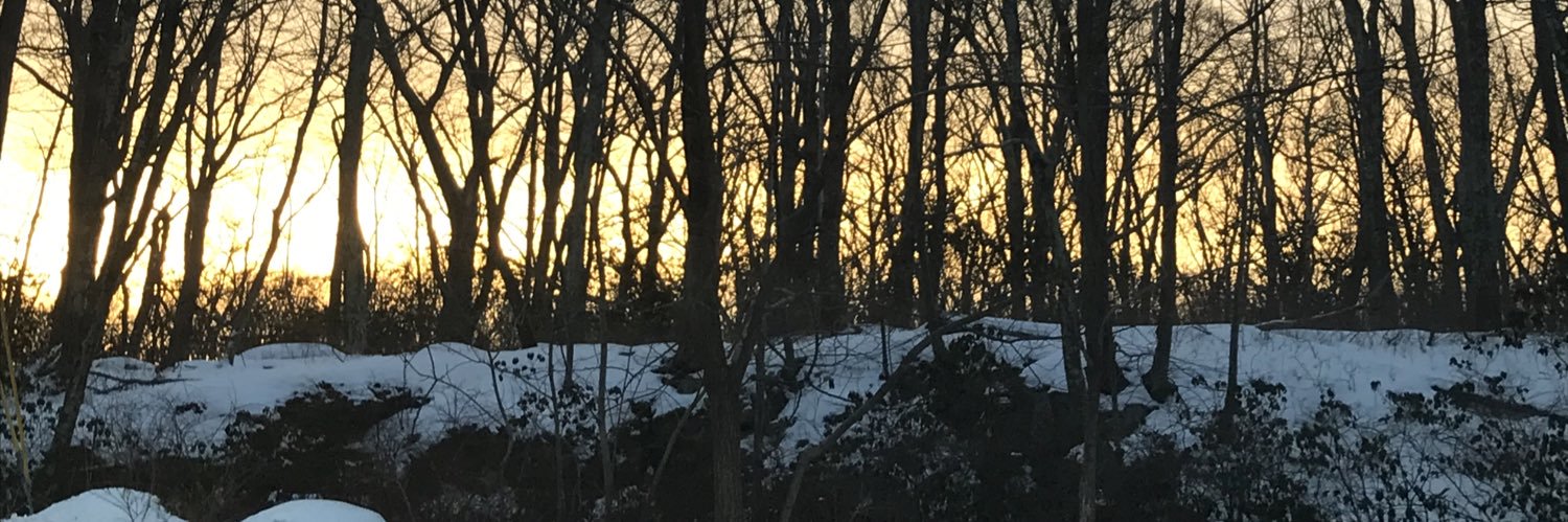 Jordanfenster's profile banner image