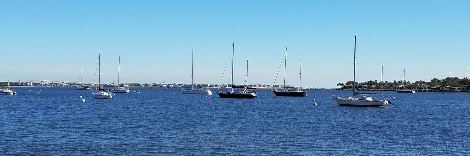 Sharon Fischer banner