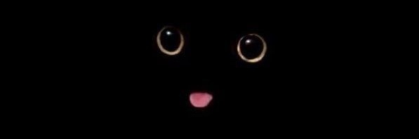 ChooPatrick's profile banner image