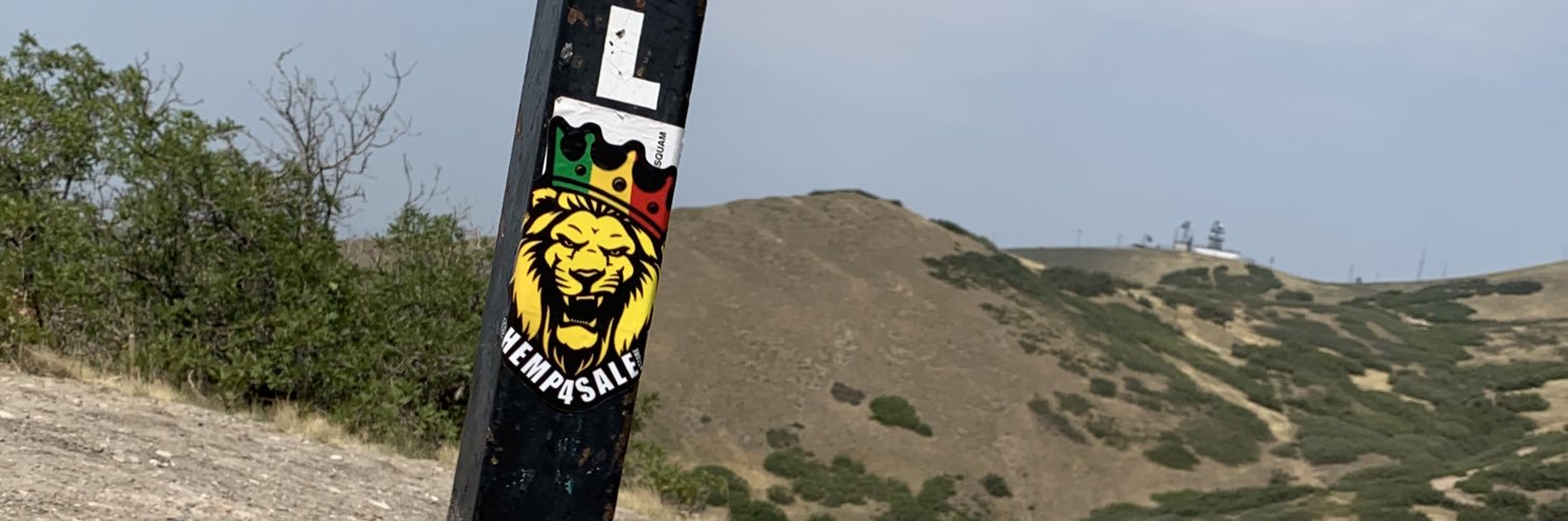 LitNFit_'s profile banner image