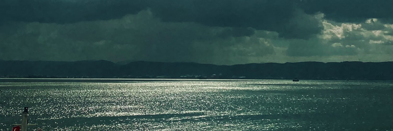 Hadeed "Bhaijaan" Butt banner