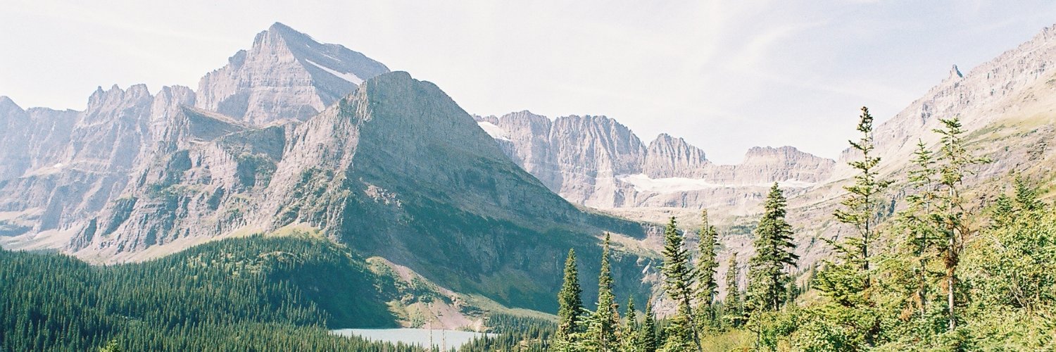 Donna Dillenberger banner